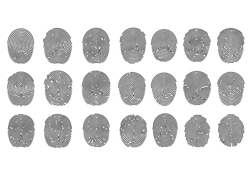 20 Synthetic Non Identifiable Fingerprint Patterns Loop Whorl Arch Isolated on Transparent Background PNG