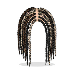 Long braided hairstyle with varied shades in artistic illustration  