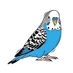 Colorful blue budgerigar perched with detailed feathers  