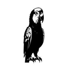 Obraz premium vector illustration of a vulture