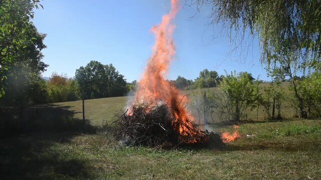 Video of large burning pile of dry branches during seasonal yard cleanup, with bright flames and smoke against clear blue sky