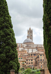 Fototapeta premium Siena city view with Mangia Tower and Cathedral , Siena, , Tuscany, Italy