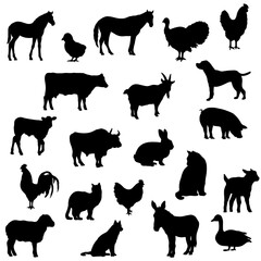 Animais de fazenda