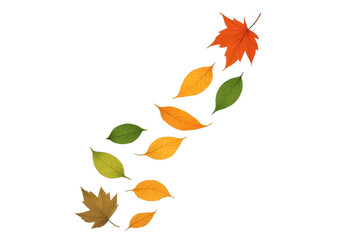 Autumn leaves falling and swirling in a vibrant cascade, symbolizing the changing season on a transparent background