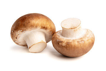 Fresh champignon mushrooms isolated on white background.
