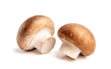 Fresh champignon mushrooms isolated on white background.
