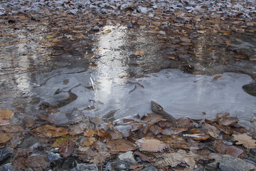 Frozen ground with scattered leaves and natural texture