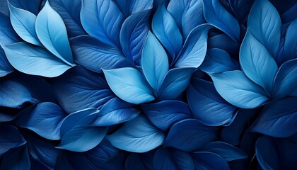 Blue Wallpaper