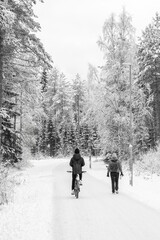Beautiful winter snowy landscape with a cyclist. Oulu has an excellent cycling infrastructure, the...