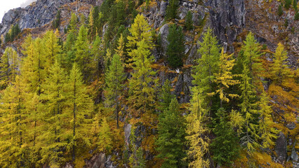 the rocks shine after the rain, and yellow trees grow on the steep slopes of the Shavlinsky Lake in Altai