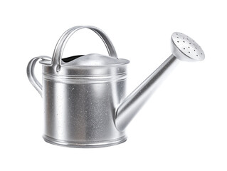 Silver metal watering can for garden use, perfect for plants indoors and outdoors