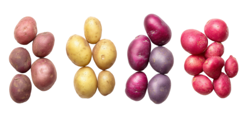 Different varieties of potatoes arranged in groups showcasing their colors and sizes on a plain background