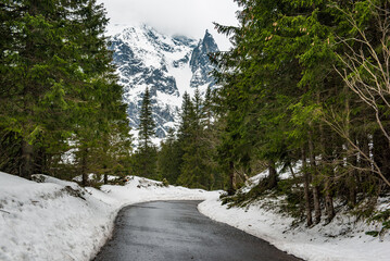 Mountain fir forest and the road near Morskie Oko Lake in Poland at Winter. Tatras mountains