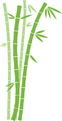 A bamboo plant with green leaves and brown stalks