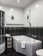 Bathroom in the apartment. Shower stall and bathtub.