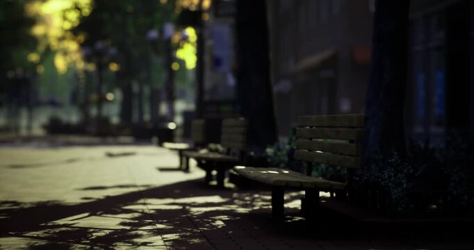 Benches line a tranquil path in a city park, bathed in warm sunset hues. The sunlight filters through trees, casting gentle shadows on the ground, creating a peaceful atmosphere.