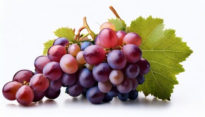 Fototapeta premium Grapes Cabernet Sauvignon Franc Variety On Transparent Background Quercetin Epicatechin Myricetin Catechin