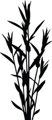 Illustration Nerium oleander plant flower leaves botanical silhouette vector