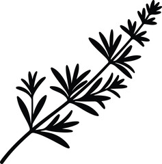 Illustration of a sprig of fresh rosemary herb silhouette vector
