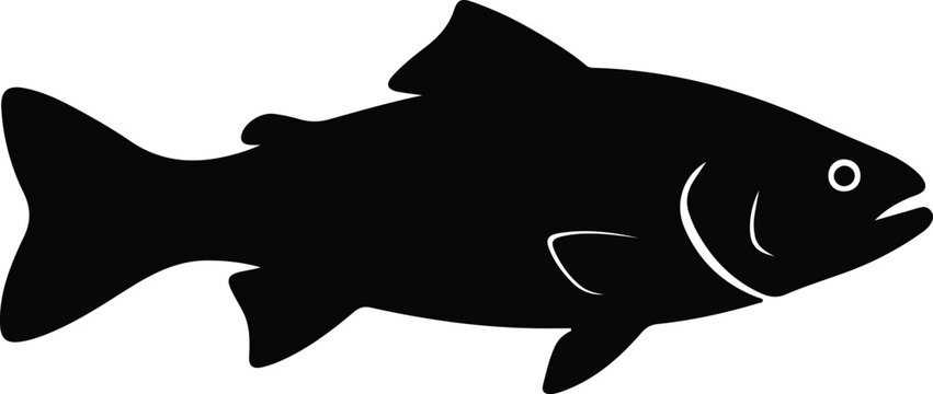 Illustration single salmon fish in black silhouette vector