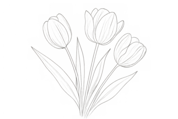 Transparent rising smoke effect or white steam on alpha channel background for overlay design elements