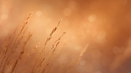 Obraz premium Background concept, warm colors, soft lighting, trending on Adobe Stock, perfect lighting