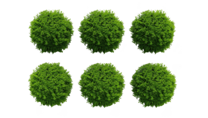 Set of dark green bush isolated on transparent background for landscape design and architecture