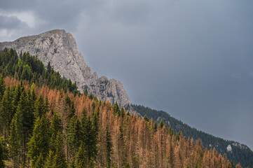 alpine landscape along the trail through San Nicolò valley, Val di Fassa, Dolomites, Italy