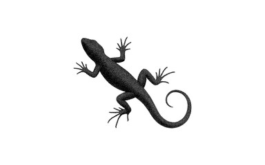 Fototapeta premium Silhouette of a lizard with detailed texture on white background