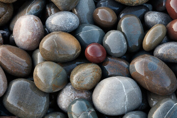 A collection of wet, smooth, multicolored sea stones. The concept of tranquility and serenity serves as a textured backdrop for a web banner page template design