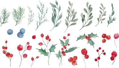  Watercolor set of winter botanicals with evergreen branches, holly leaves, red and blue berries. Hand drawn illustration. Vector EPS