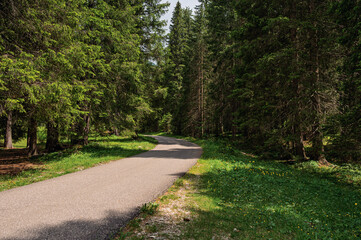 alpine landscape along the trail through San Nicolò valley, Val di Fassa, Dolomites, Italy