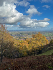 autumn landscape with trees