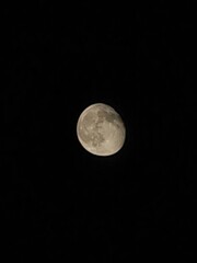 Fototapeta premium moon in the night