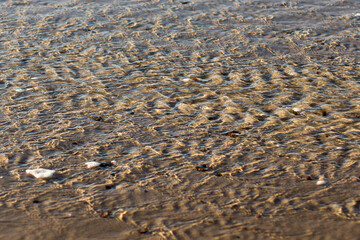 Detailed Close-up of Water Ripples and Refractions Over Shallow Wet Sand