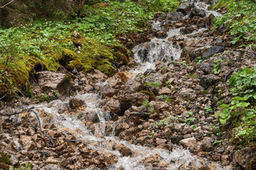 close up of the rio San Nicolò inside the valley San Nicolò, Pozza di Fassa, Val di Fassa, dolomites, Italy