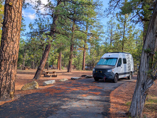 Camper van parked at wooded campsite with picnic table and fire pit