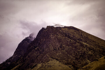 Yellowjacket, Evening