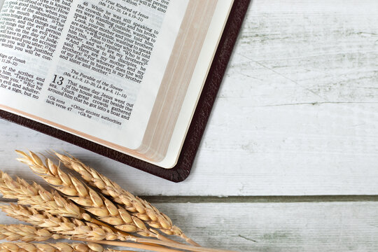 Open holy bible book with wheat on a wooden background. Top view. Copy space. Parable of the sower text, faith and obedience in God Jesus Christ, spiritual harvest, biblical concept.