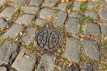 Metal water cover on cobblestone street surrounded by grass and fallen leaves in autumn