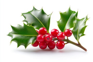 Vibrant holly branch with glossy green leaves and bright red berries representing classic natural Christmas decoration on white background, Generative AI