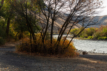 Yakima River public access location with fall foliage