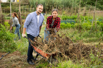 Fototapeta premium Portrait of positive employees cleaning backyard. Woman and man takes out bunch of branches, puts garbage in wheelbarrow, and cleans up next to cottage and ranch.