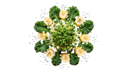 Green food arrangement, kale, banana, sprouts, isolated on transparent background