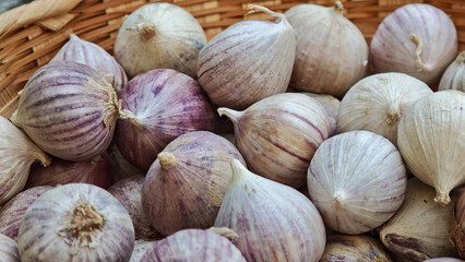 Solo Garlic herb in a basket