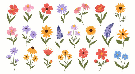 A vibrant collection of stylized and colorful wildflower illustrations. A set of isolated botanical floral design elements for spring
