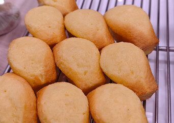 Soft Lemon Cake in a Coffee Shop