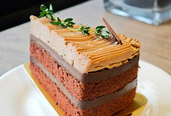 Close up of a piece of double chocolate cake
