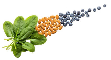 Fresh spinach leaves, almonds, and blueberries isolated on transparent background