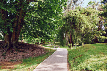 Park path and trees with green grass and shaded walkway leading past bench and lamp posts, peaceful nature scene for walking, relaxation and outdoor leisure in sunny daylight
